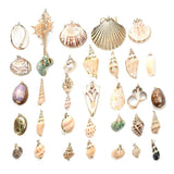 5pcs Natural Conch Shell Charms Pendant for DIY Jewelry Making