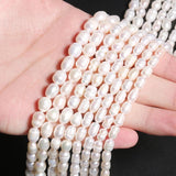 AA Natural Rice Shape Freshwater Pearls for Jewelry Making