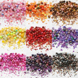 Colorful 40g Mixed Czech Glass Seed Beads for Jewelry Making