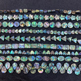 Abalone Shell Beads for DIY Jewelry Making 10-30mm