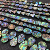Abalone Shell Beads for DIY Jewelry Making 10-30mm