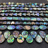 Abalone Shell Beads for DIY Jewelry Making 10-30mm