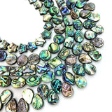 Abalone Shell Beads for DIY Jewelry Making 10-30mm