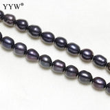 Dark Purple 5-6mm Freshwater Pearl Beads 15Inch Strand