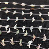 Sea Shell Kitten Pendant for Jewelry Making DIY