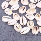 50pcs Natural Sea Shell Loose Beads Craft Conch Shell Pendant DI