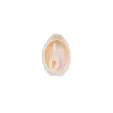 50pcs Natural Sea Shell Loose Beads Craft Conch Shell Pendant DI