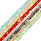 3.5MM Colorful Natural Freshwater Shell Bead Charm Loose Mother of Pearl Bead