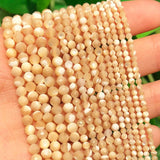 Natural Trochus Shell Stone Beads Faceted 2 3 4mm