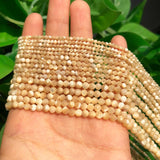 Natural Trochus Shell Stone Beads Faceted 2 3 4mm