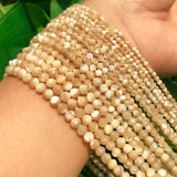 Natural Trochus Shell Stone Beads Faceted 2 3 4mm