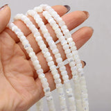 Shell Circle Beads for DIY Jewelry Making - High Gift