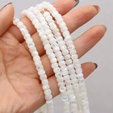 Shell Circle Beads for DIY Jewelry Making - High Gift