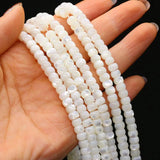 Shell Circle Beads for DIY Jewelry Making - High Gift