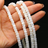 Shell Circle Beads for DIY Jewelry Making - High Gift