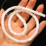 Shell Circle Beads for DIY Jewelry Making - High Gift