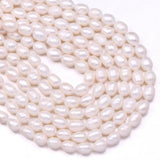 Natural Freshwater Pearl Beads for DIY Jewelry Making 14''