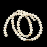 Mother of Pearl Shell Beads for DIY Jewelry