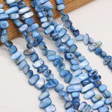 Natural Shell Irregular Beads for Jewelry Making 8x15-10x20mm 80cm