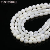 Natural Shell Spacer Beads for DIY Bracelets Jewelry Making