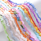 30-34pcs 8x11mm Mix Moon Shell Beads Natural Spacer Beads for DIY Jewelry