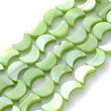 30-34pcs 8x11mm Mix Moon Shell Beads Natural Spacer Beads for DIY Jewelry