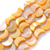 30-34pcs 8x11mm Mix Moon Shell Beads Natural Spacer Beads for DIY Jewelry
