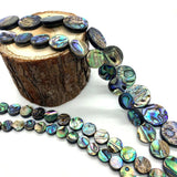 Abalone Shell Loose Beads Disc-shaped Charm for Jewelry Making DIY 8-20mm