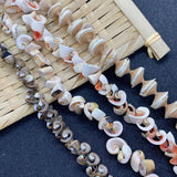 Natural Conch Shell Loose Beads for DIY Jewelry Making