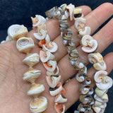 Natural Conch Shell Loose Beads for DIY Jewelry Making