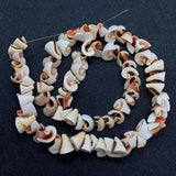 Natural Conch Shell Loose Beads for DIY Jewelry Making