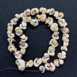 Natural Conch Shell Loose Beads for DIY Jewelry Making