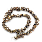 Natural Conch Shell Loose Beads for DIY Jewelry Making
