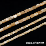 Natural Trochus Top Shell Beads Tube Charm Beads for Jewelry Making
