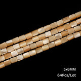 Natural Trochus Top Shell Beads Tube Charm Beads for Jewelry Making