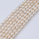 7-8mm Freshwater Pearl Beads Rice Shaped Real Jewelry Making DIY