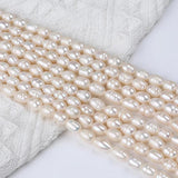 7-8mm Freshwater Pearl Beads Rice Shaped Real Jewelry Making DIY