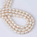 7-8mm Freshwater Pearl Beads Rice Shaped Real Jewelry Making DIY