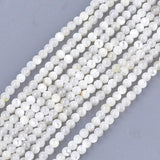 121pcs 3mm Natural Mother of Pearl Shell Beads Round Loose Shell Beads 14.9''