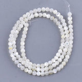 121pcs 3mm Natural Mother of Pearl Shell Beads Round Loose Shell Beads 14.9''