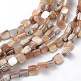 40pcs Freshwater Shell Beads for Jewelry Making Bracelet Earring Necklace