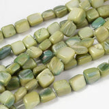 40pcs Freshwater Shell Beads for Jewelry Making Bracelet Earring Necklace