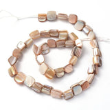 40pcs Freshwater Shell Beads for Jewelry Making Bracelet Earring Necklace