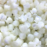Natural Tulips Flower Shape Shell Beads DIY 6/8MM Jewelry Accessories