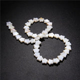5-star Mother of Pearl Shell Beads for Jewelry Making DIY