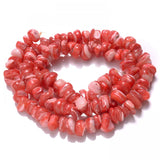 105Pcs/Strip Shell Beads Round Gravel Spacer Beads For Jewelry Making