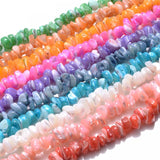105Pcs/Strip Shell Beads Round Gravel Spacer Beads For Jewelry Making