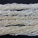 Freshwater Shells Beads Necklace Jewelry Making 6mm