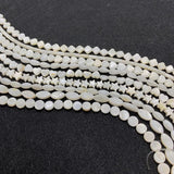 Freshwater Shells Beads Necklace Jewelry Making 6mm