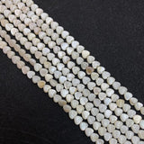Freshwater Shells Beads Necklace Jewelry Making 6mm